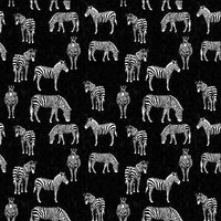 Black & Whites: Zebras on Black Allover