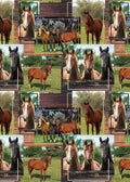 Horse Trio: All Over Horses