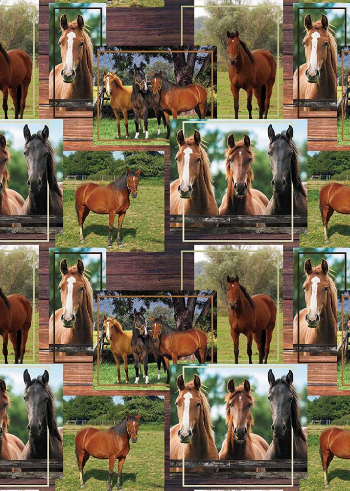Horse Trio: All Over Horses