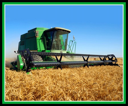 Farm Machines: Green Harvester Panel by KK Designs