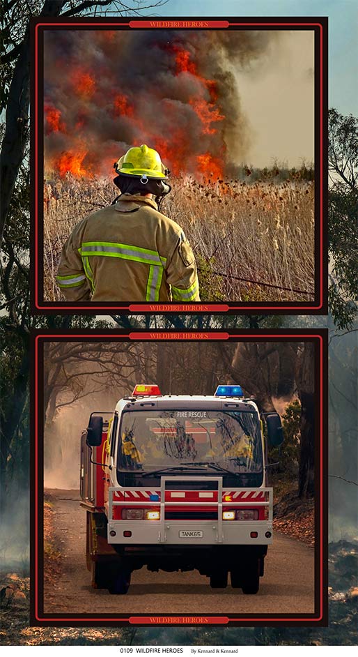 Wildfire Heroes: Firefighter & Firetruck Panel