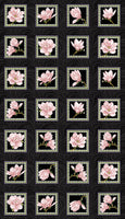 Accent on Magnolias: Magnolia Blooms Blocks Panel Coral by Jackie Robinson for Benartex