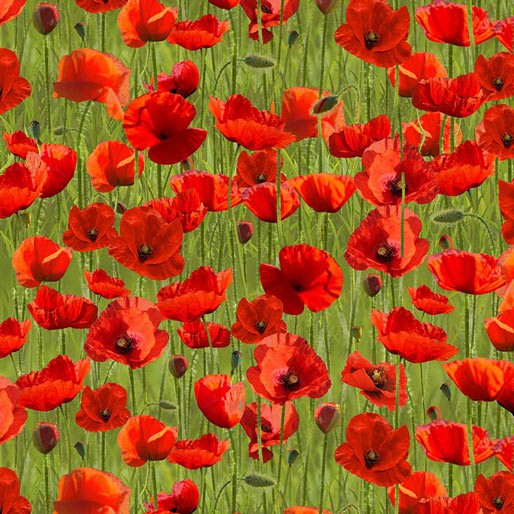 Remembering ANZAC: Poppies on Green Allover