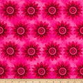 Calypso Dragonfly Collection: Starburst (Magenta)