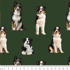 Merino Muster: Border Collie Dog (Green)
