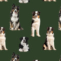 Merino Muster: Border Collie Dog (Green)