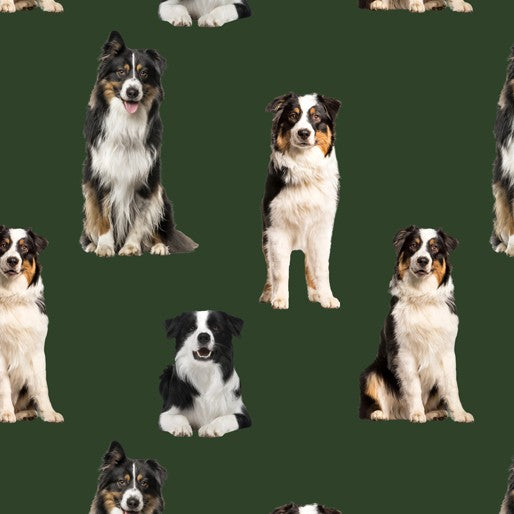 Merino Muster: Border Collie Dog (Green)