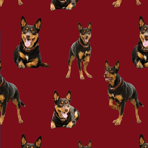 Merino Muster: Kelpie Dogs (Red)