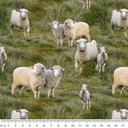 Merino Muster: Allover Sheep