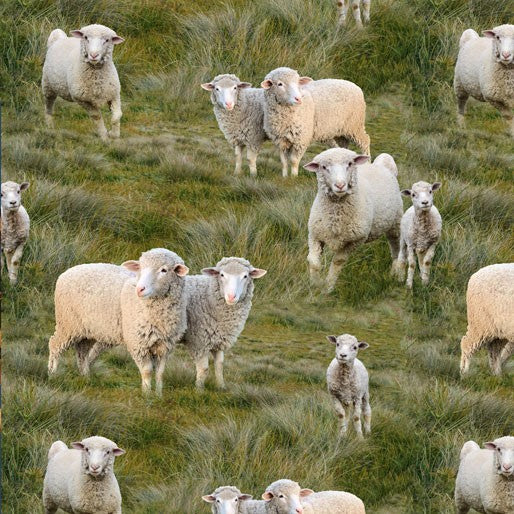 Merino Muster: Allover Sheep
