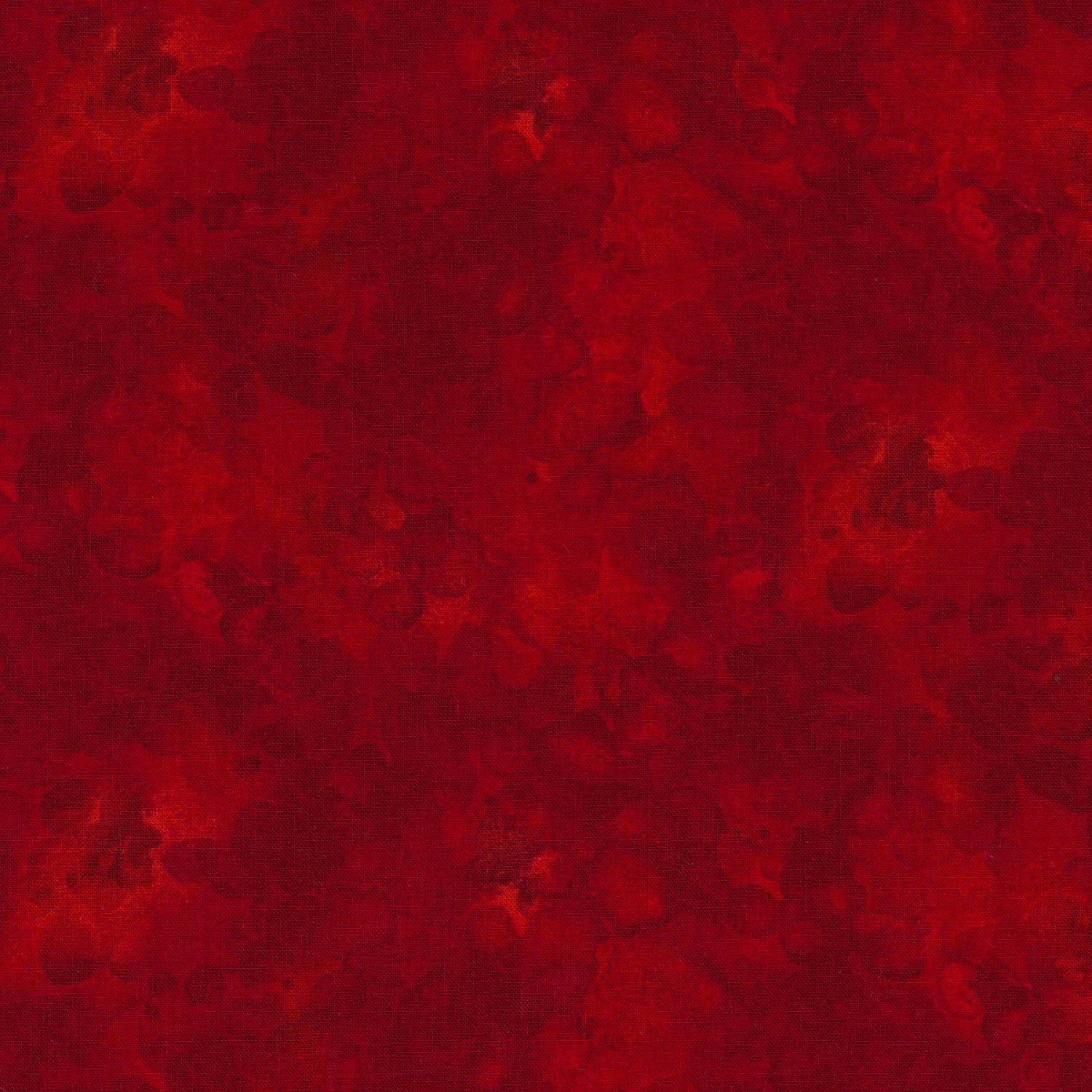 Solid-ish Blender (Cherry)
