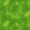 Solid-ish Blender (Lime)