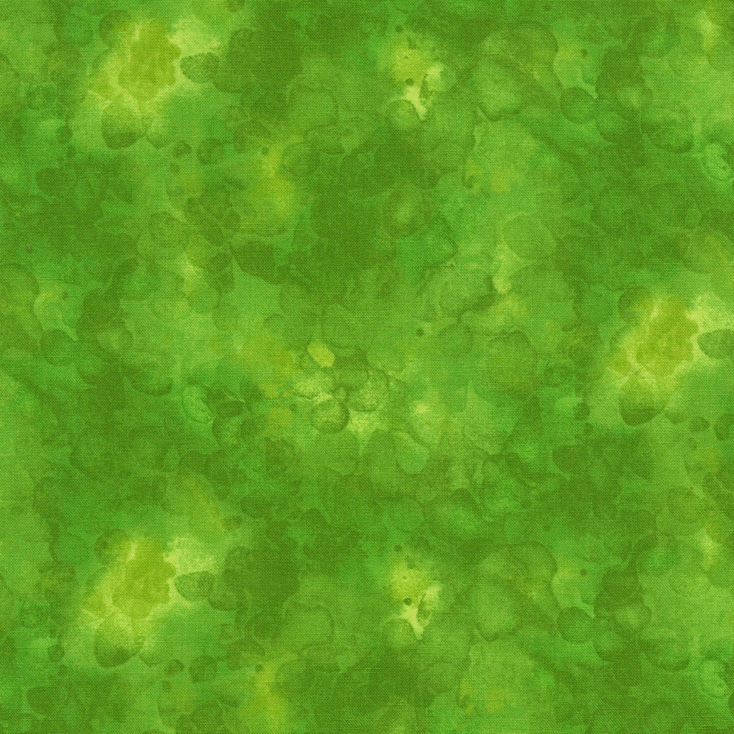 Solid-ish Blender (Lime)