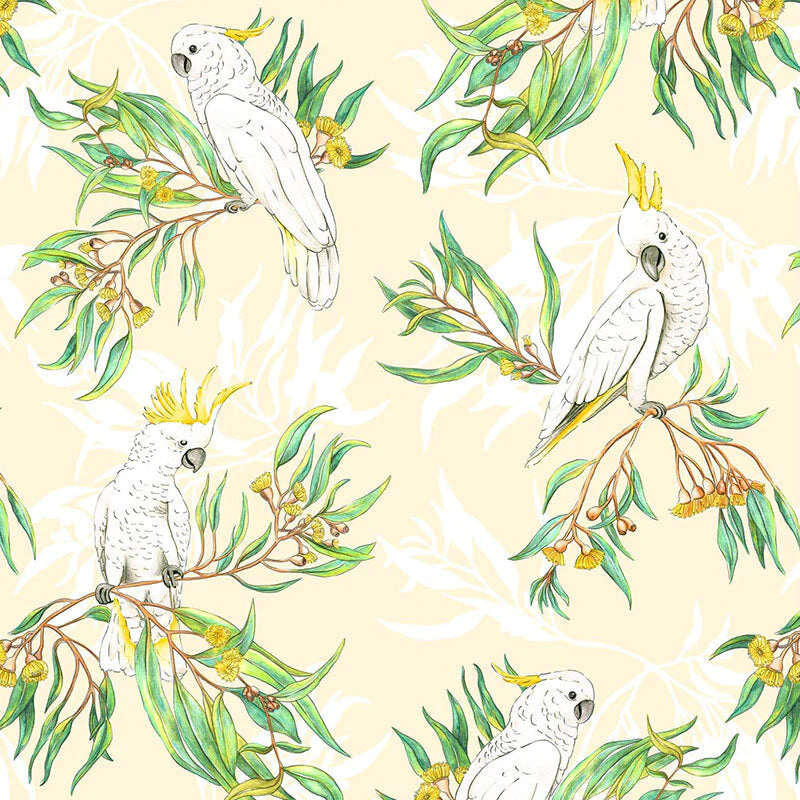 Gumtree Friends: Cockatoos on Cream