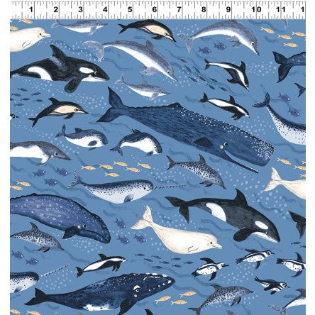 Oceans Away: Whales
