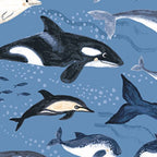 Oceans Away: Whales