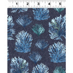 By the Seashore: Seaweed